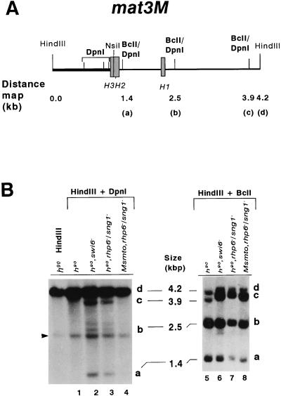 FIG. 7