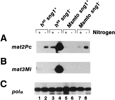 FIG. 3