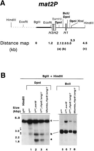 FIG. 6