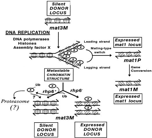 FIG. 9