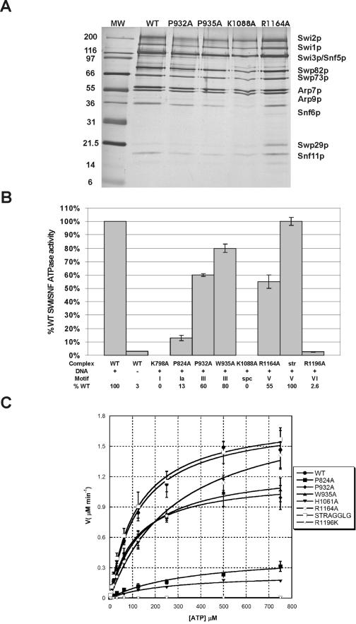 FIG.1.