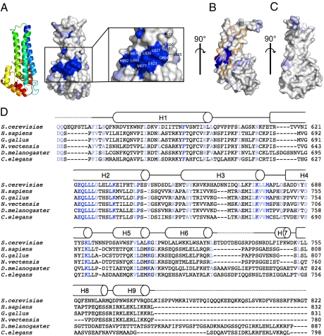 Fig. 3.