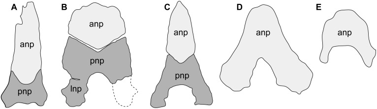 Fig 18