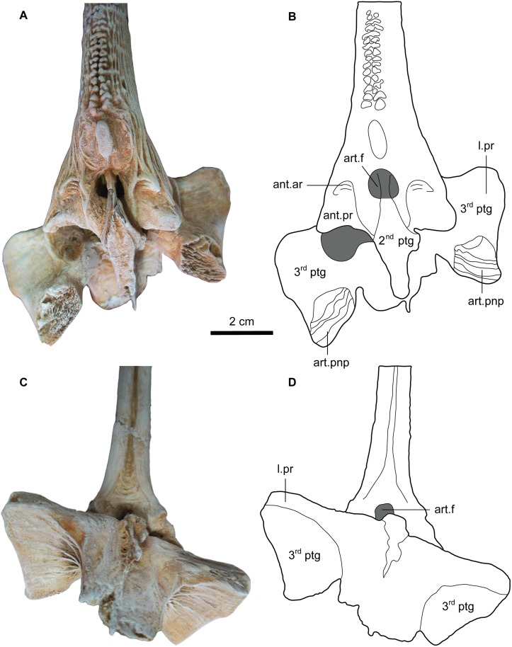 Fig 15