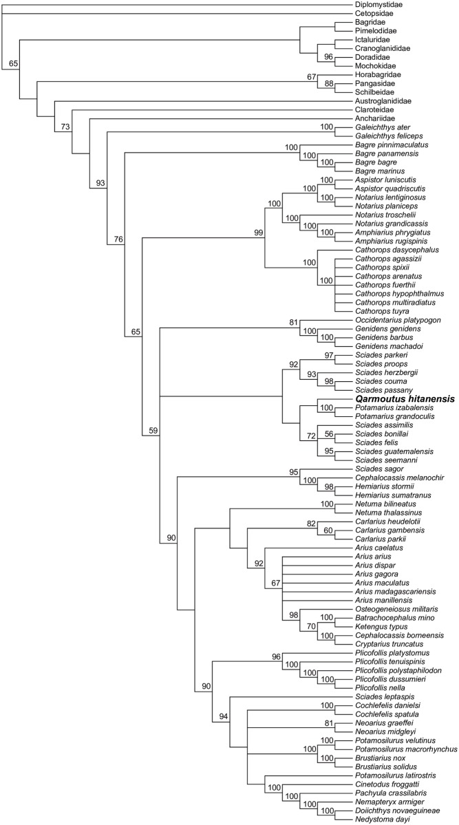 Fig 20