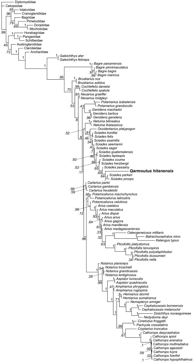 Fig 21