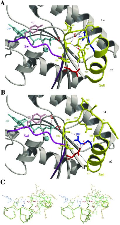 Fig 1.