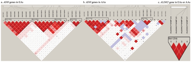 Figure  2