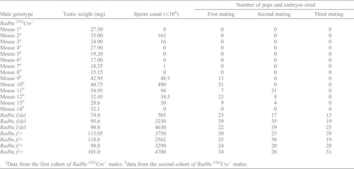 graphic file with name jcs-126-17-3927-t01.jpg