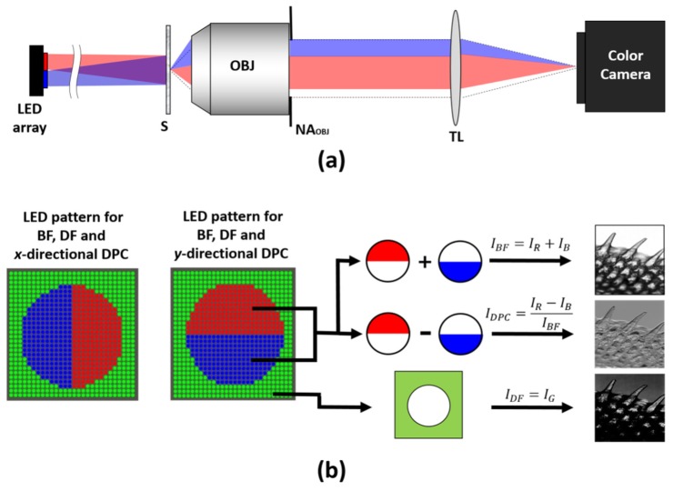 Fig. 1