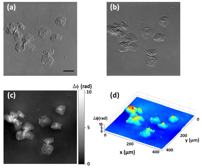 Fig. 7