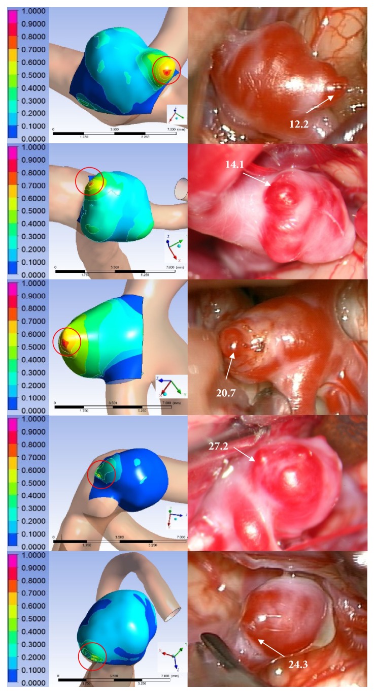 Figure 5