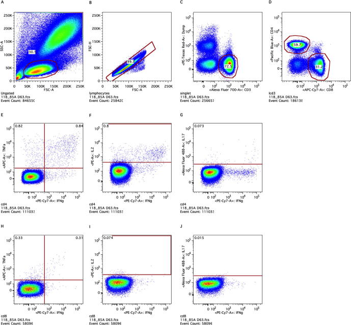 Supplementary figure 1