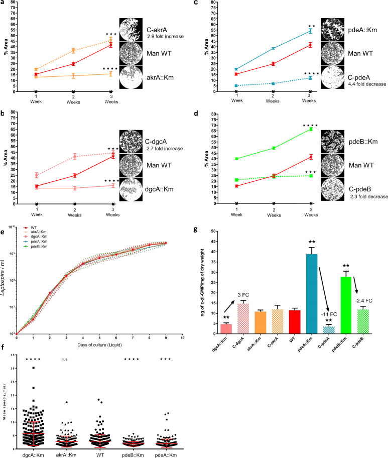 Fig. 4