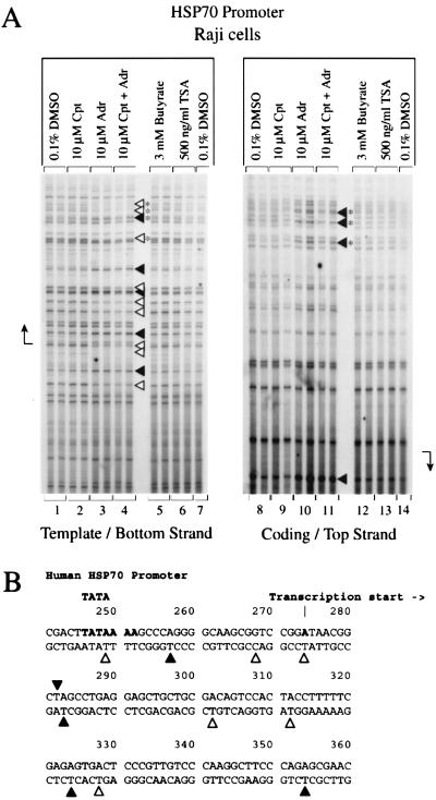 FIG. 7