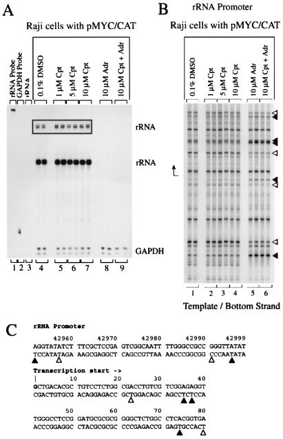 FIG. 8