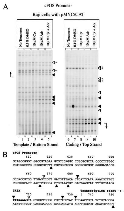 FIG. 6