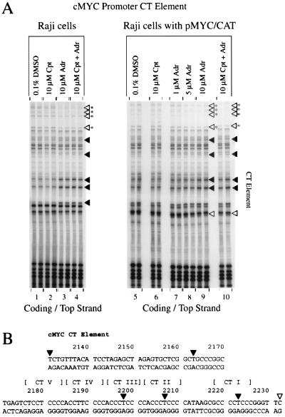 FIG. 5