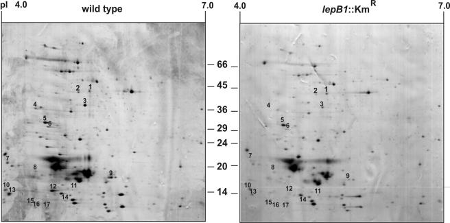 FIG. 6.