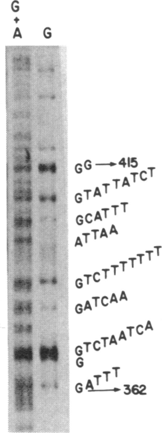 graphic file with name pnas00343-0015-c.jpg