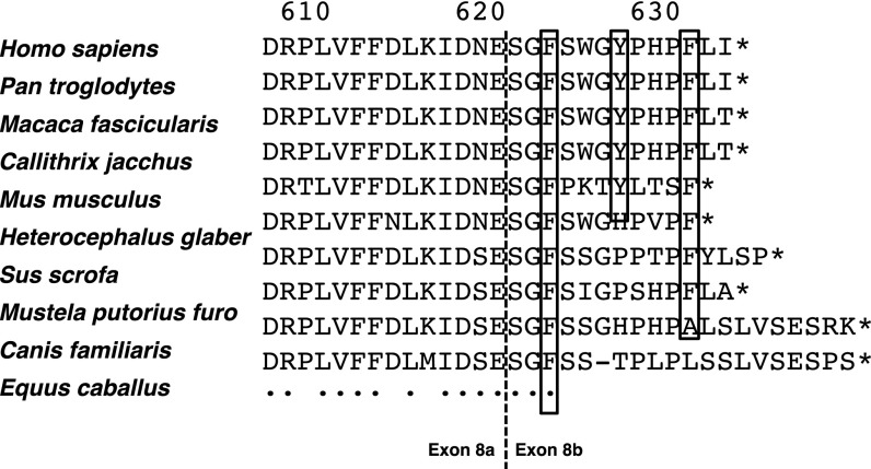 Fig. S1.