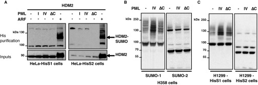 Fig. S3.