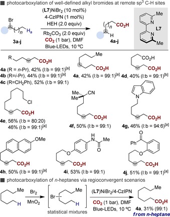 Scheme 4