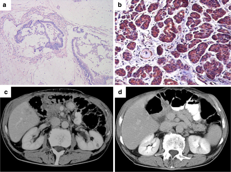 Fig. 1