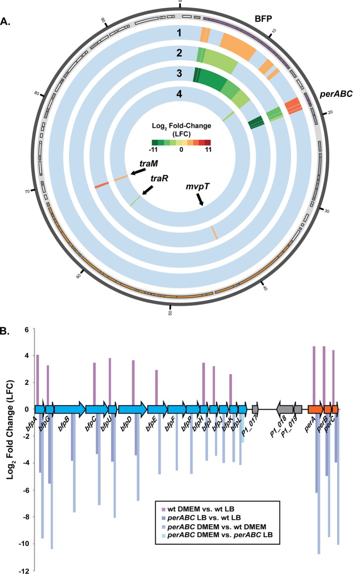 FIG 6