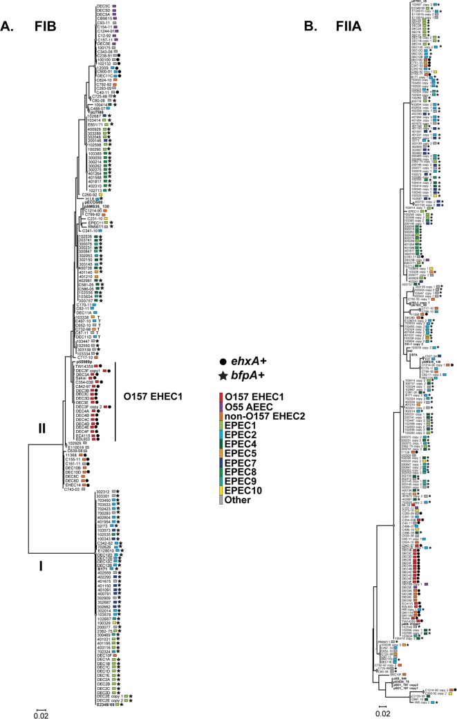 FIG 2