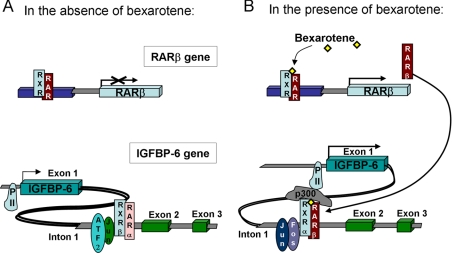 FIGURE 7.