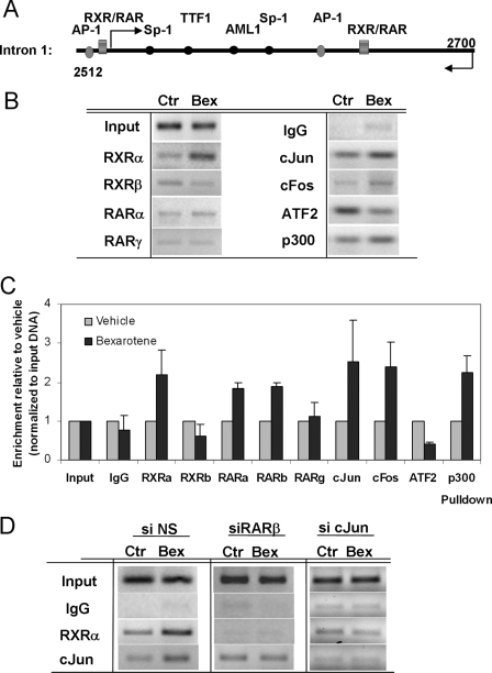 FIGURE 6.