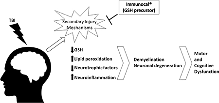 graphic file with name nihms-1509421-f0001.jpg