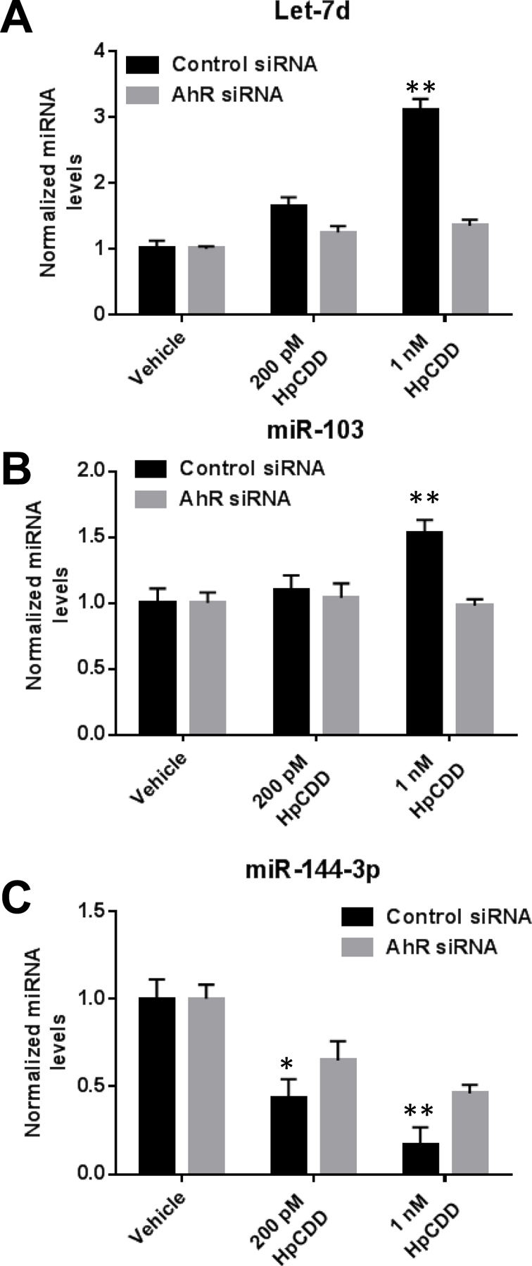 Figure 5: