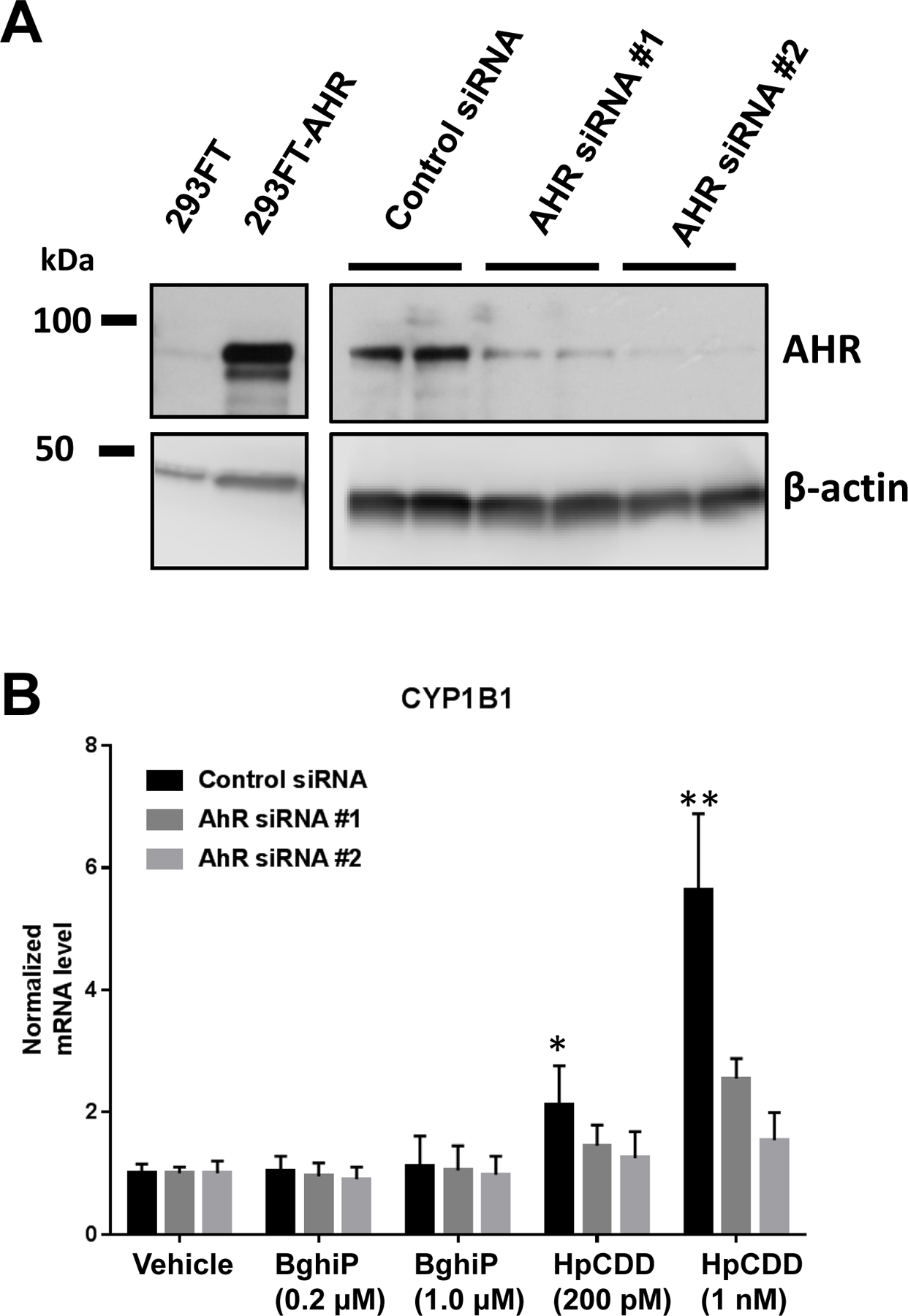 Figure 2: