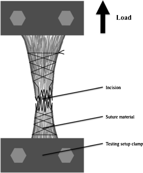 Fig. 2