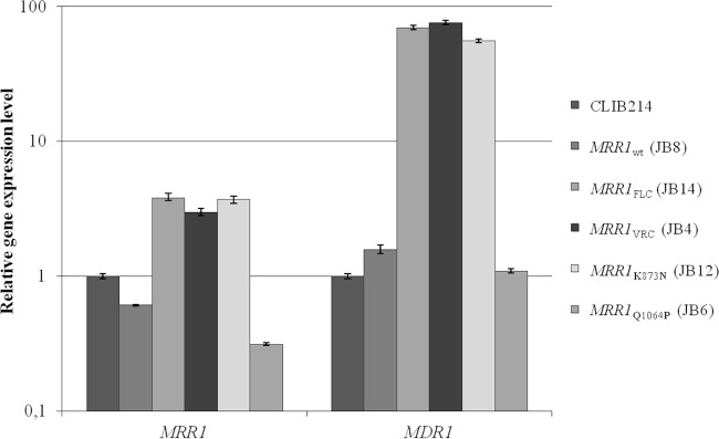 FIG 2