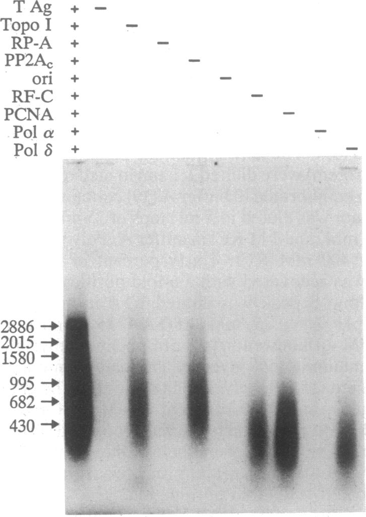 graphic file with name pnas01047-0017-a.jpg