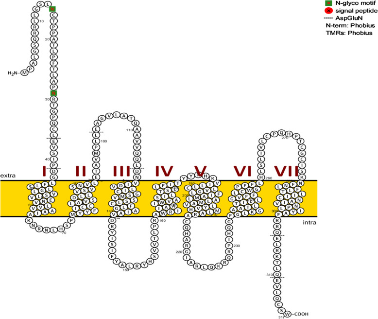 Fig. 8