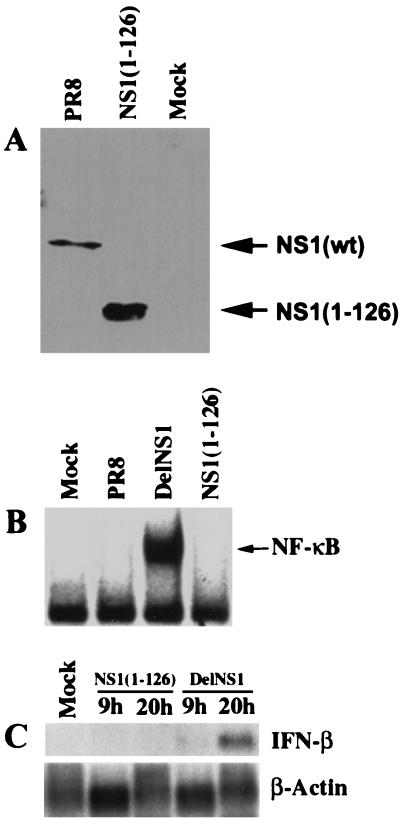 FIG. 5