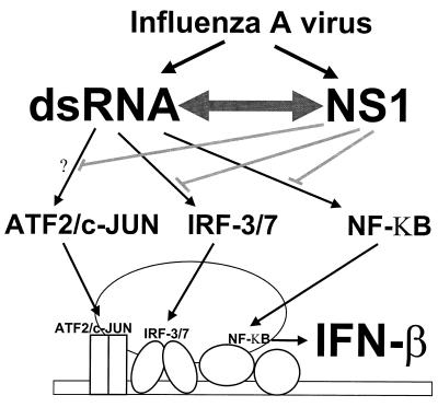 FIG. 6