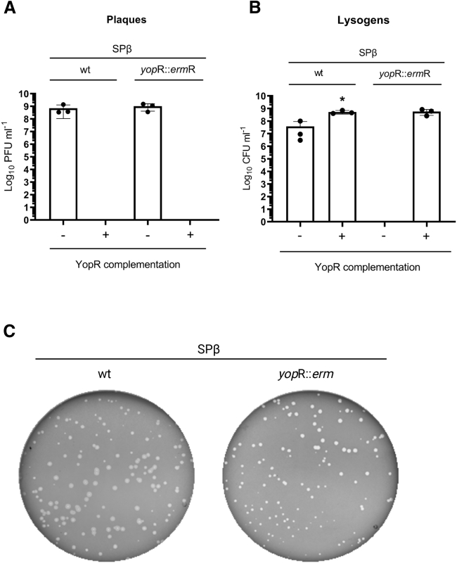 Figure 6