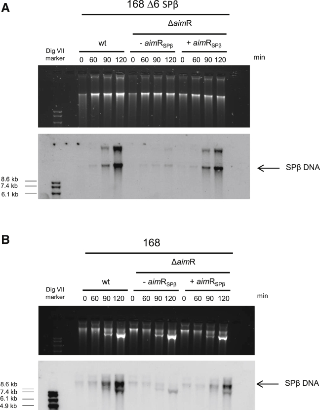 Figure 2