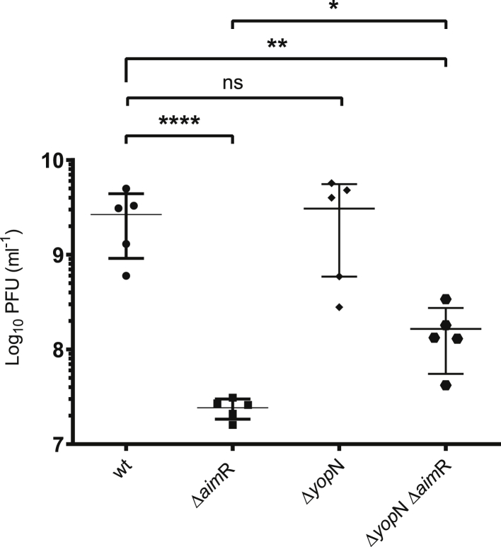 Figure 5