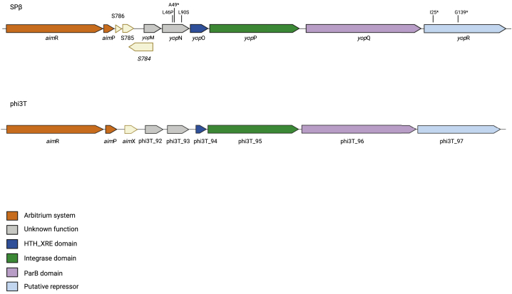 Figure 3