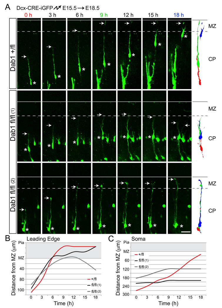 Fig. 4