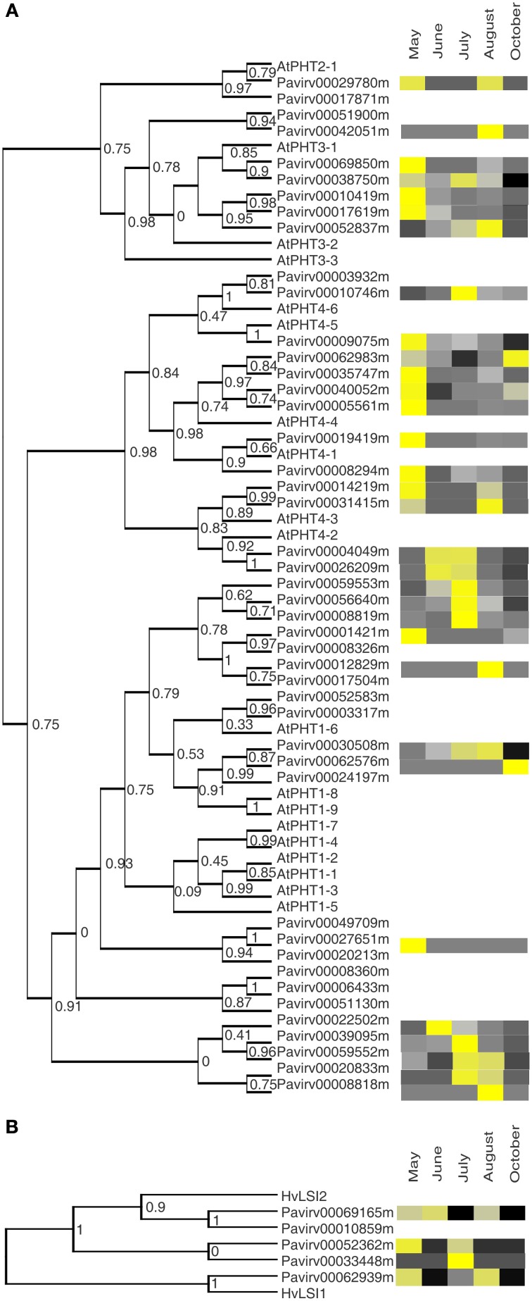 Figure 5