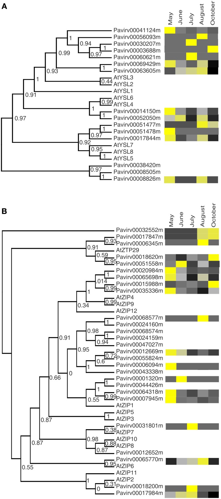 Figure 6