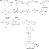 Scheme 4