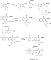 Scheme 6